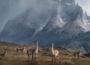 开云体育平台APP-三色大地上的剑锋，卡塞米罗世界杯之夜一球定乾坤