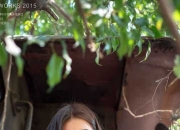 开云体育官网-沙漠热浪席卷绿茵，努涅斯单骑破阵，卡塔尔轻取奥地利写下亚洲足球新注脚