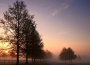 开云体育APP下载-两个战场，一种宿命，杜兰特与穿越时空的子弹