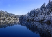 开云体育官网-锡安奇幻夜，压哨暴扣撕裂山西防线，魔术师空中改写生死簿