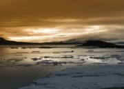 开云体育入口-蓝黑风暴，7分钟击碎紫色火焰，欧冠之路上演战术闪电战