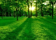 开云平台-纪录终结者与制胜艺术家，荷兰战术击溃摩洛哥，久保建英一球定乾坤