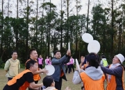 开云sport-球场上的团队合作展现最佳状态，取得连胜