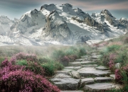 开云体育app-跨界王者，魔术末节逆转辽宁，恩比德精神照亮英超争冠战