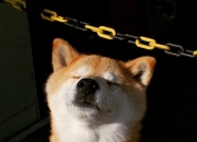 开云-独狼撕碎铁阵，伦纳德无言的34秒让纽约陷入死寂