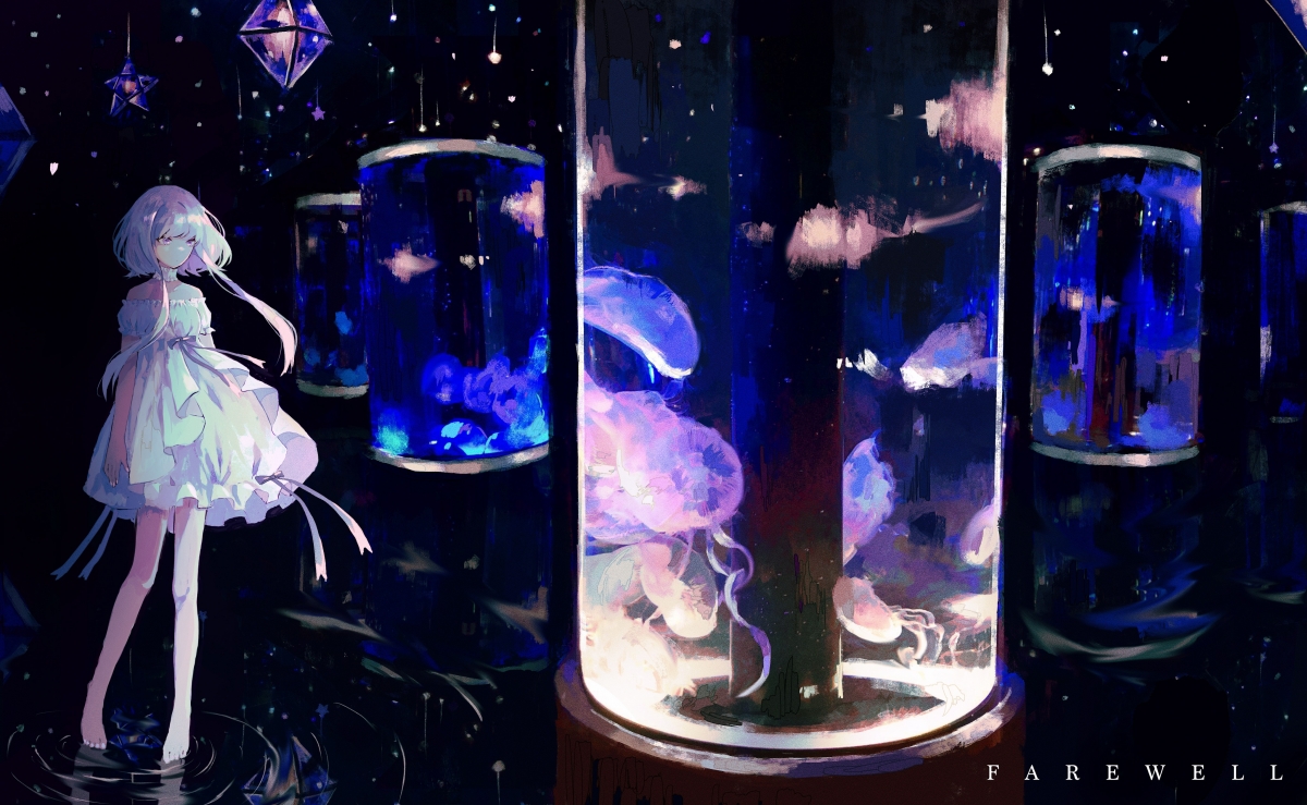 体系之智与天赋之焰,足球世界的双重奏