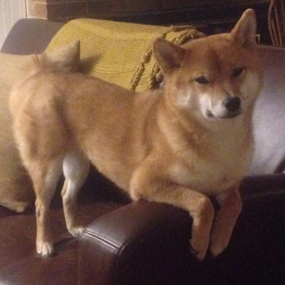 欧冠决赛之夜，马丁内利，暗夜中那抹唯一的彗星