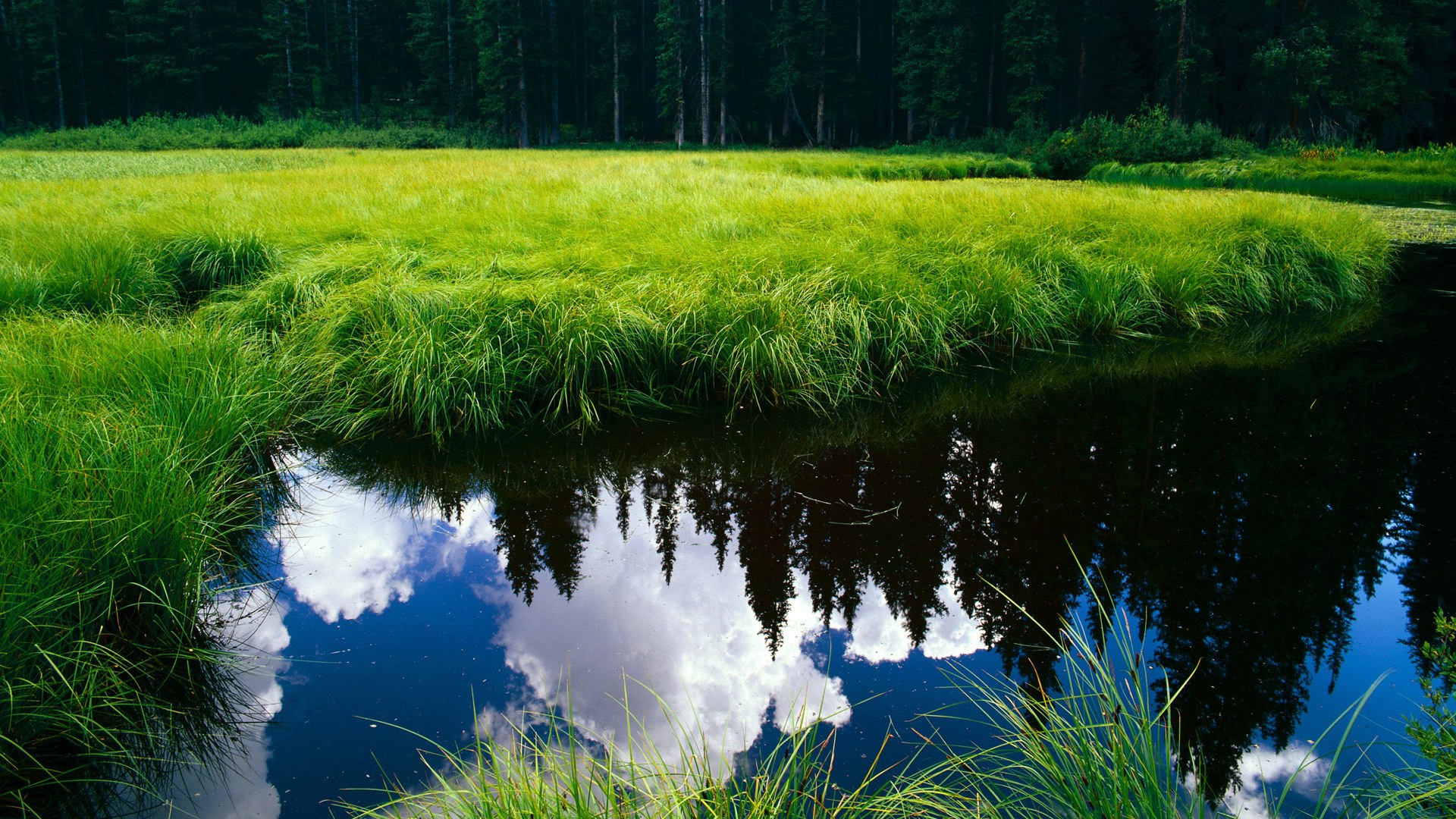 西甲国家德比之夜，当篮球飞向点球点，拉文在伯纳乌关键时刻站出来