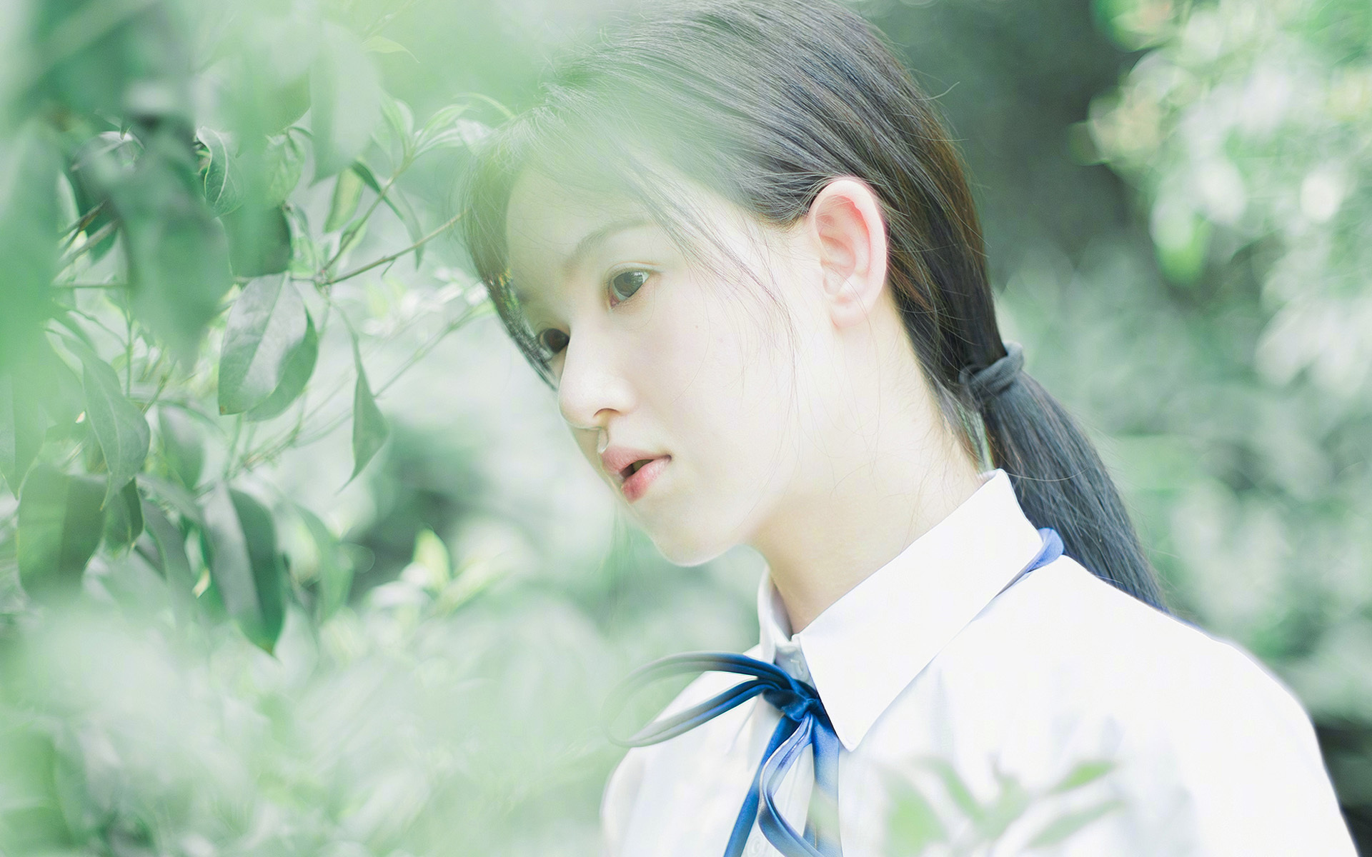 跨界王者，魔术末节逆转辽宁，恩比德精神照亮英超争冠战