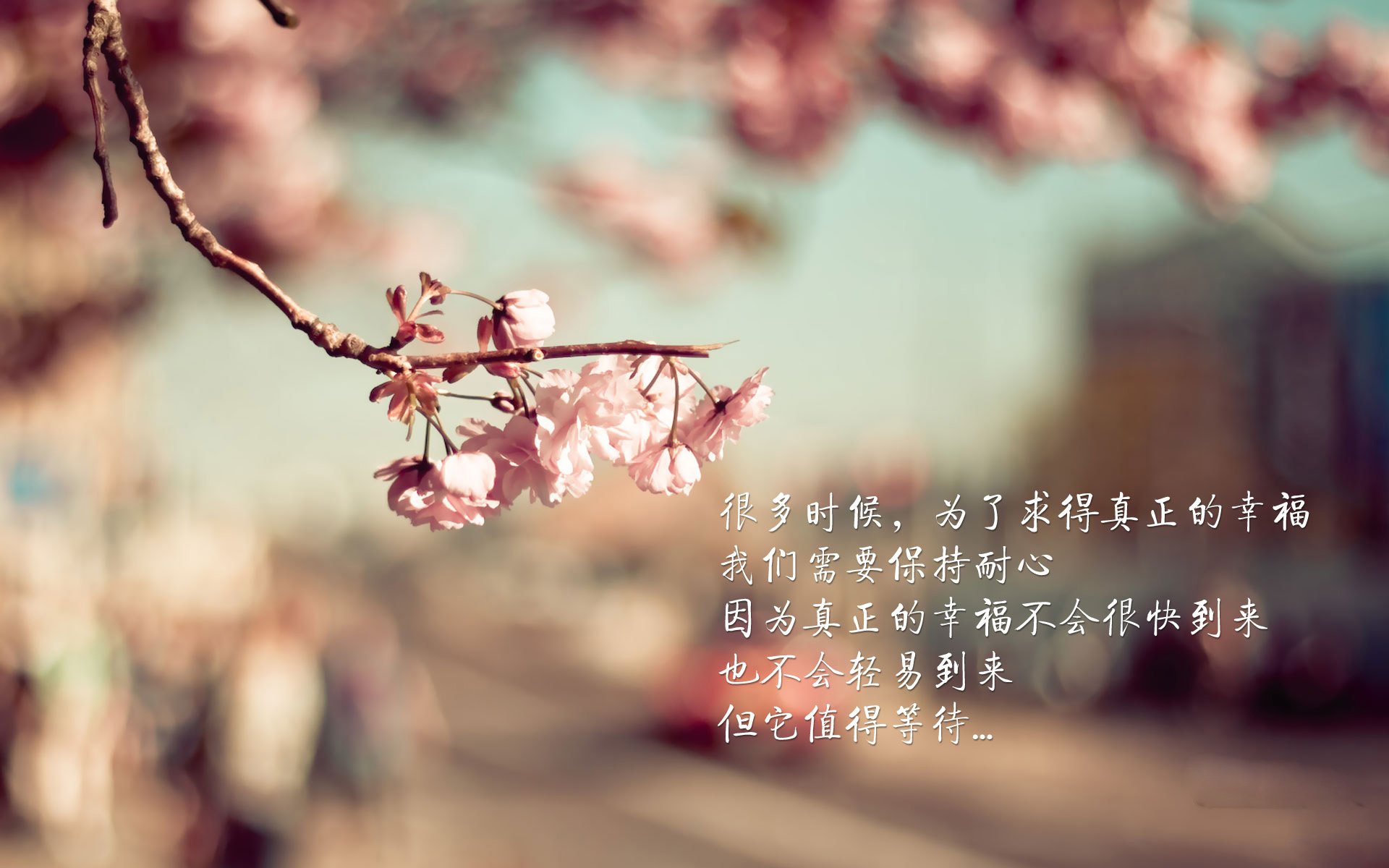 北欧神话再临，芬兰国家队友谊赛完胜拉齐奥，本泽马化身关键先生定乾坤