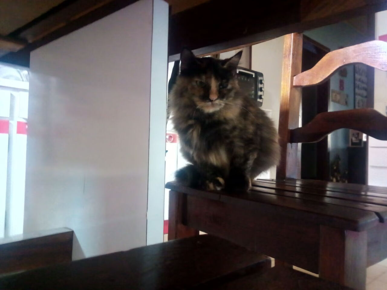 当长矛折断在铁壁之前，戈贝尔如何让年度焦点之战提前闭幕