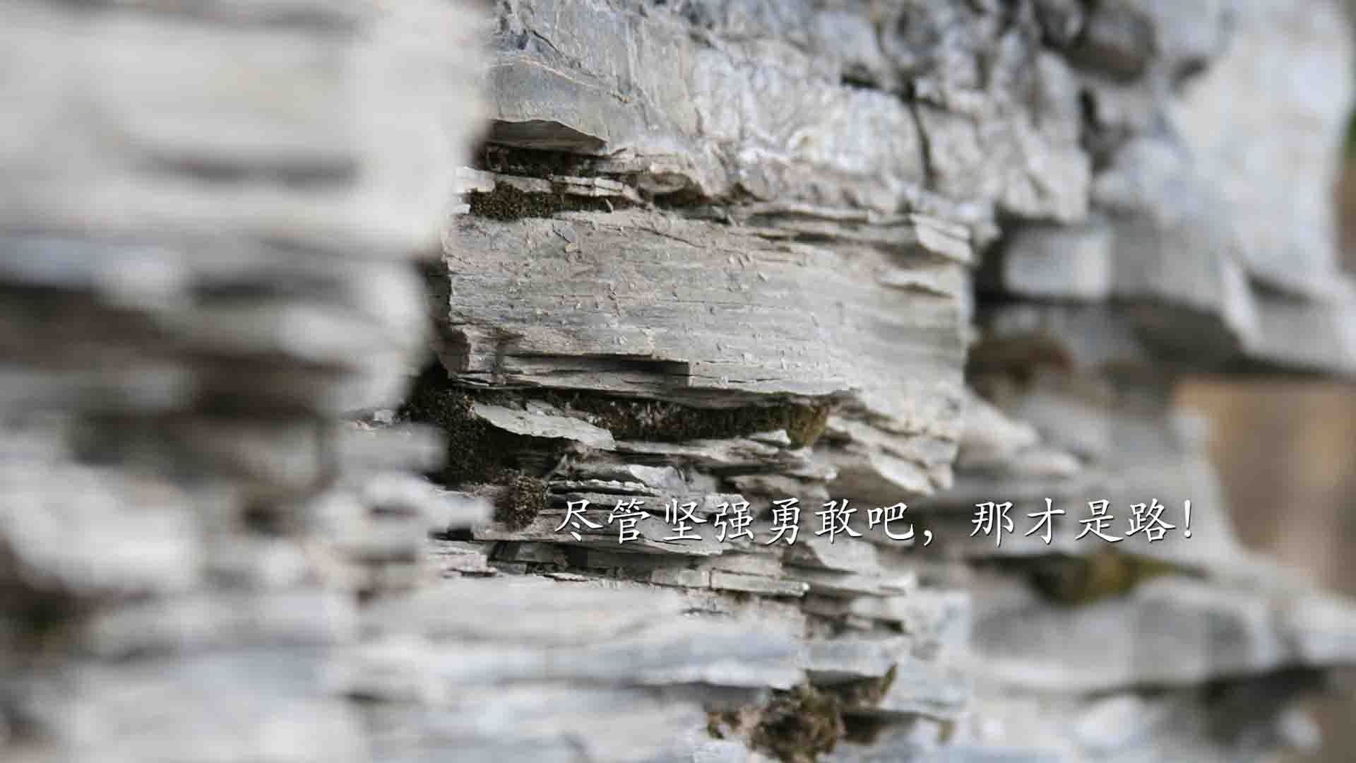 尼罗河畔的绿茵法老，布鲁诺在巴萨与埃及文明对垒中加冕